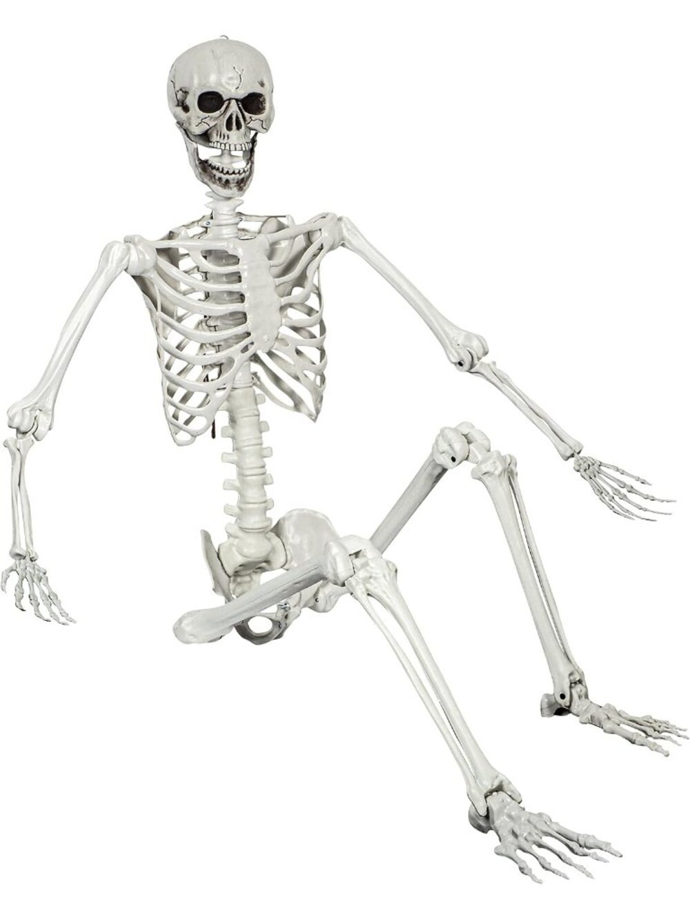 1PC 5.4ft Halloween Posable Skeleton Realistic Life Size Human Skeleton Bones